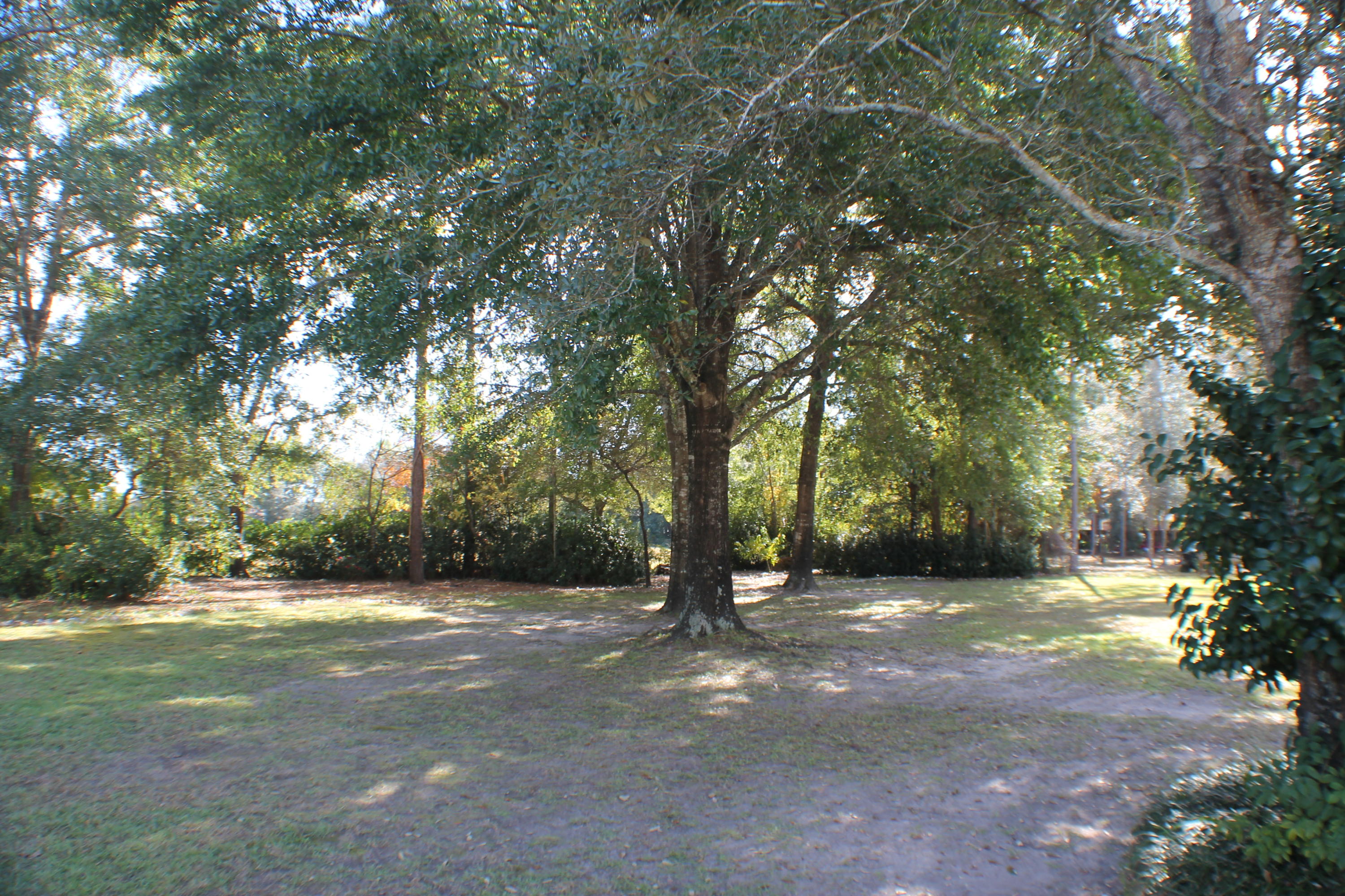 SHOAL LANDING EAST - Residential