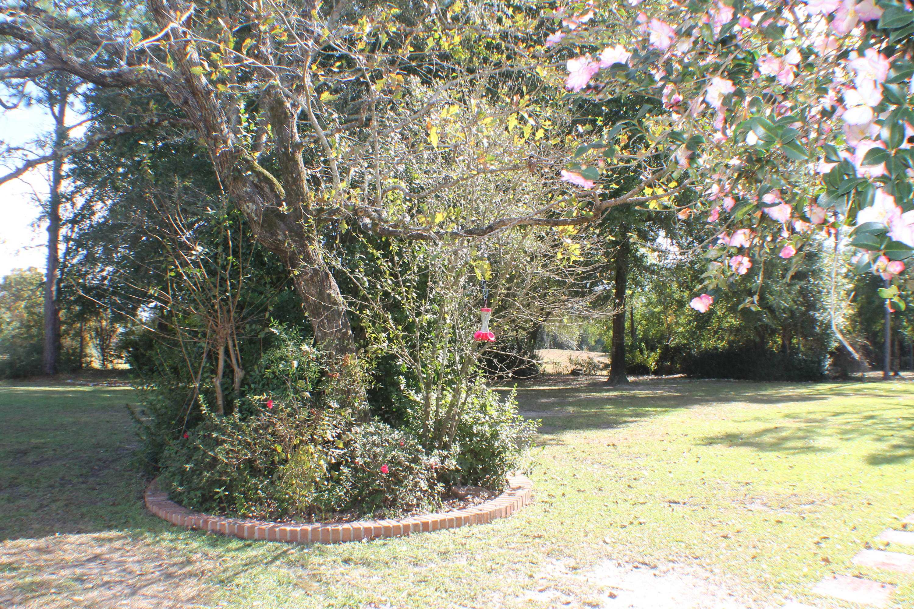 SHOAL LANDING EAST - Residential