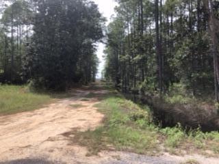 Five lots totaling 0.716 acres (250x125) very close to many of amenities south walton has to offer. Just minutes down hwy 393 to Ed Walline Beach access and Gulf Place. A short walk to Cessna Landing. Shopping at Grand Boulevard or Silver Sands Outlets just a few miles away.