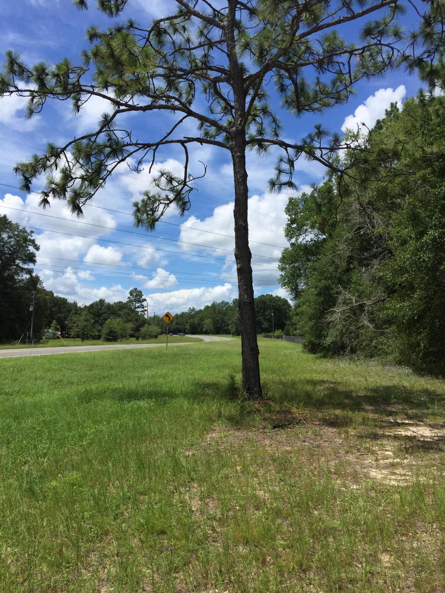 Beautiful hardwoods, large level homesite stream with highway frontage! Possible commercial use. The county will allow agricultural related business in Agricultural zoning on Hwy 90.
