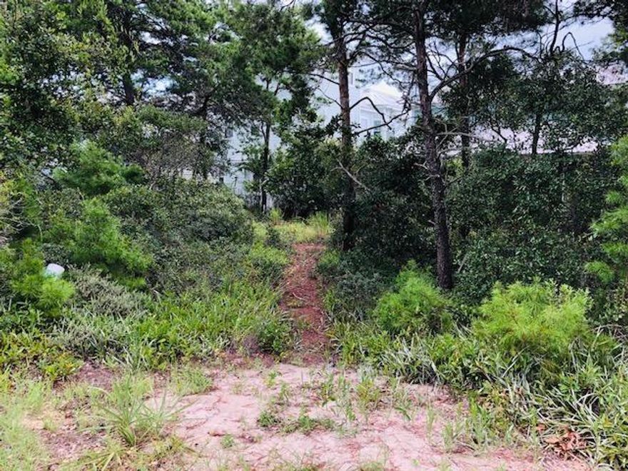 Welcome to Highland Parks--an upscale coastal development on 30A in Blue Mountain Beach. Adjacent homes are well-constructed and well-maintained, and include both full-time residents as well as second homes and very popular vacation rentals. The tropical pool setting offers a huge covered dining and entertainment pavilion as well as a 75-foot viewing tower and fire pit. Come and see this lush building site on the quiet south side!