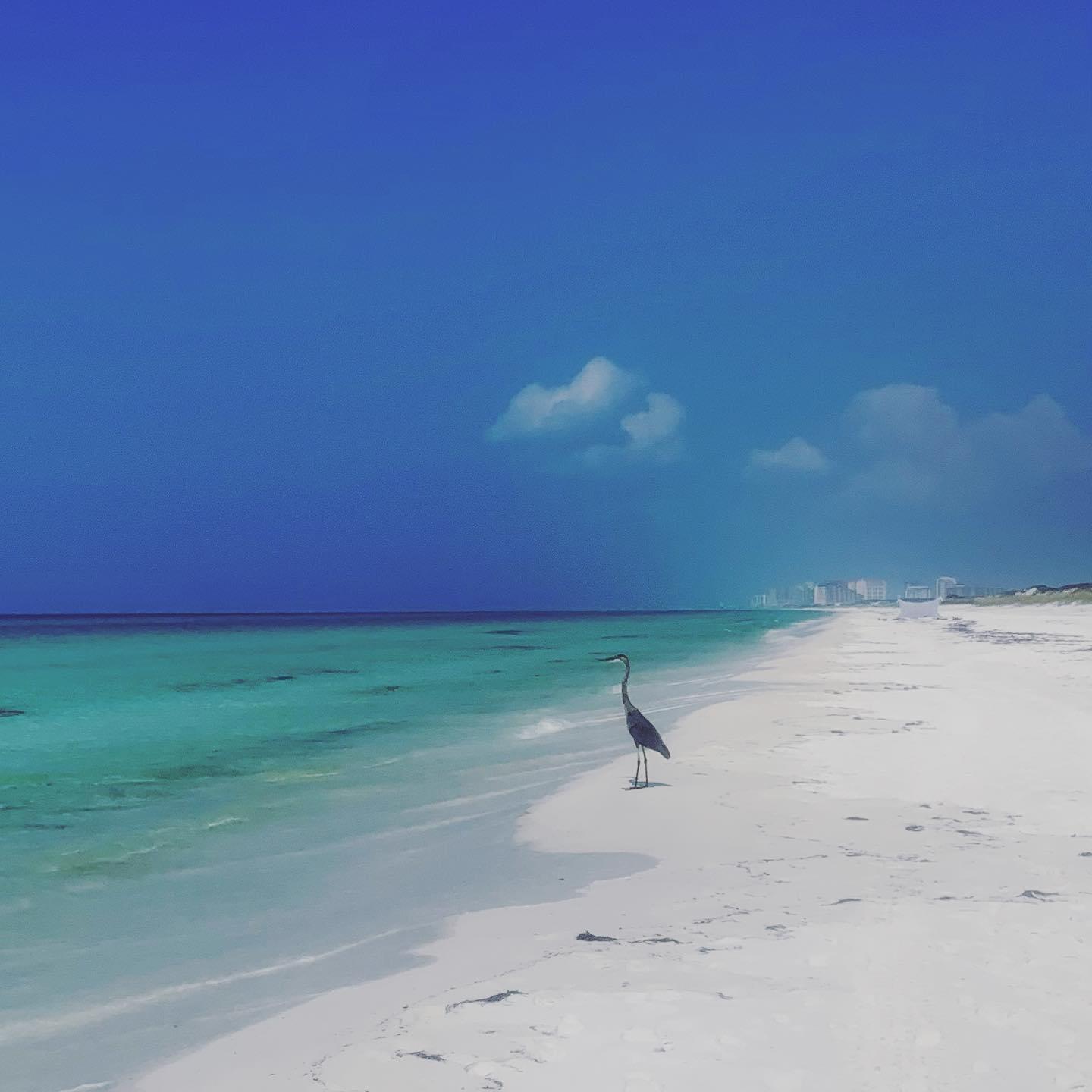 Highland Parks - Land