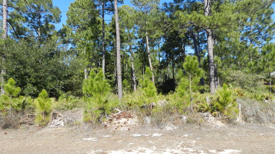 Exceptional Lot On Manatee for building your dream home. A .46 acre lot, high and dry. Available public sewer and public water. Lifestyle community center with yearly HOA fees, available for the owners' use. Features: swimming, exercise room and equipment, recreation, tennis, basketball, free weights, saunas, etc.