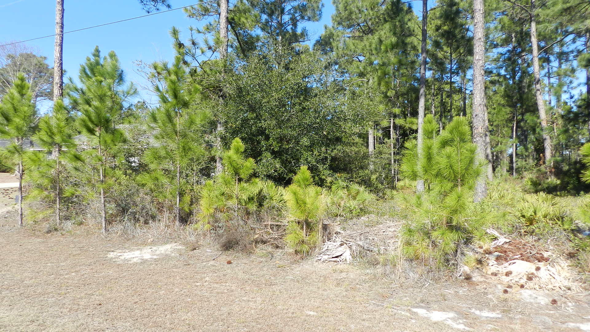 Holley By the Sea - Land