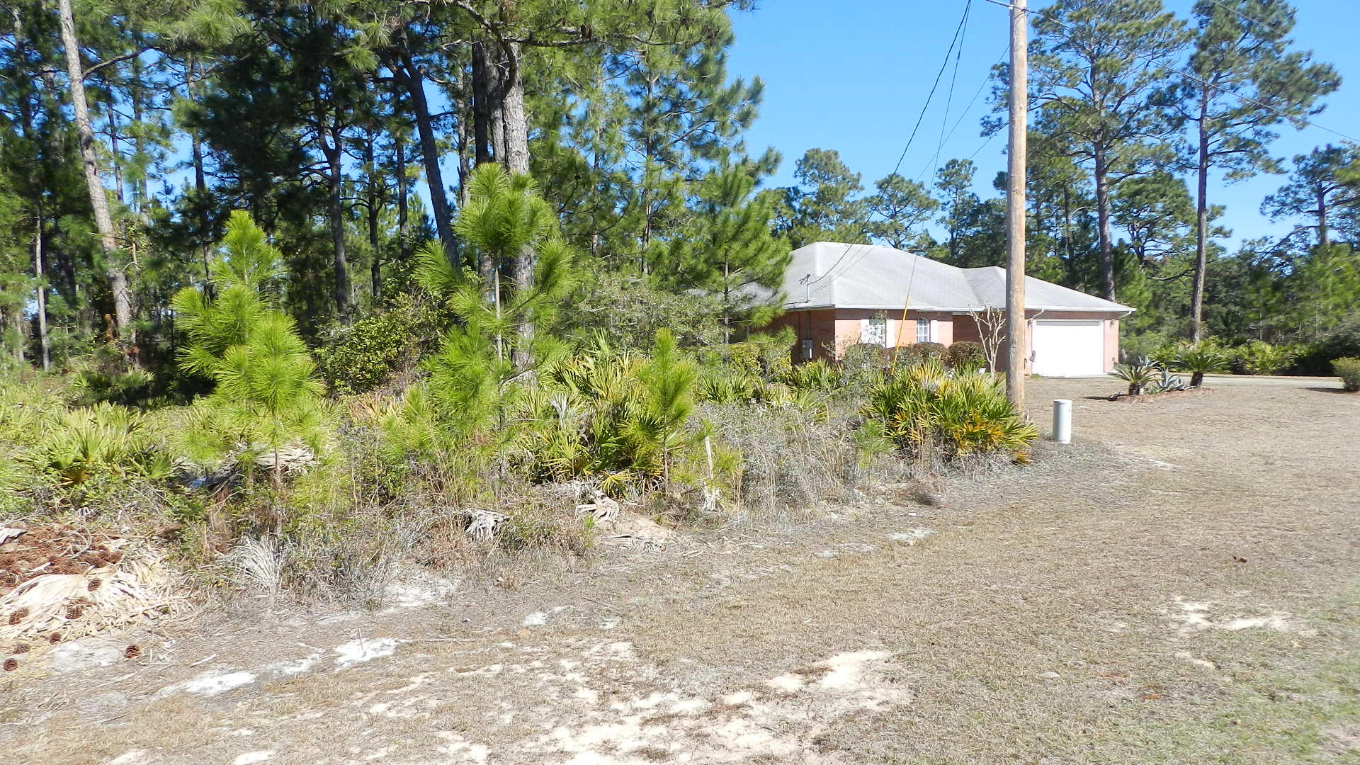 Holley By the Sea - Land