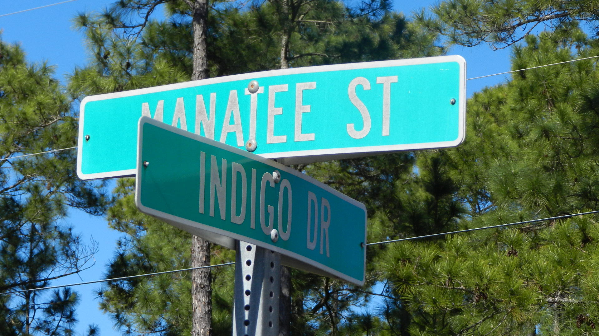 Holley By the Sea - Land