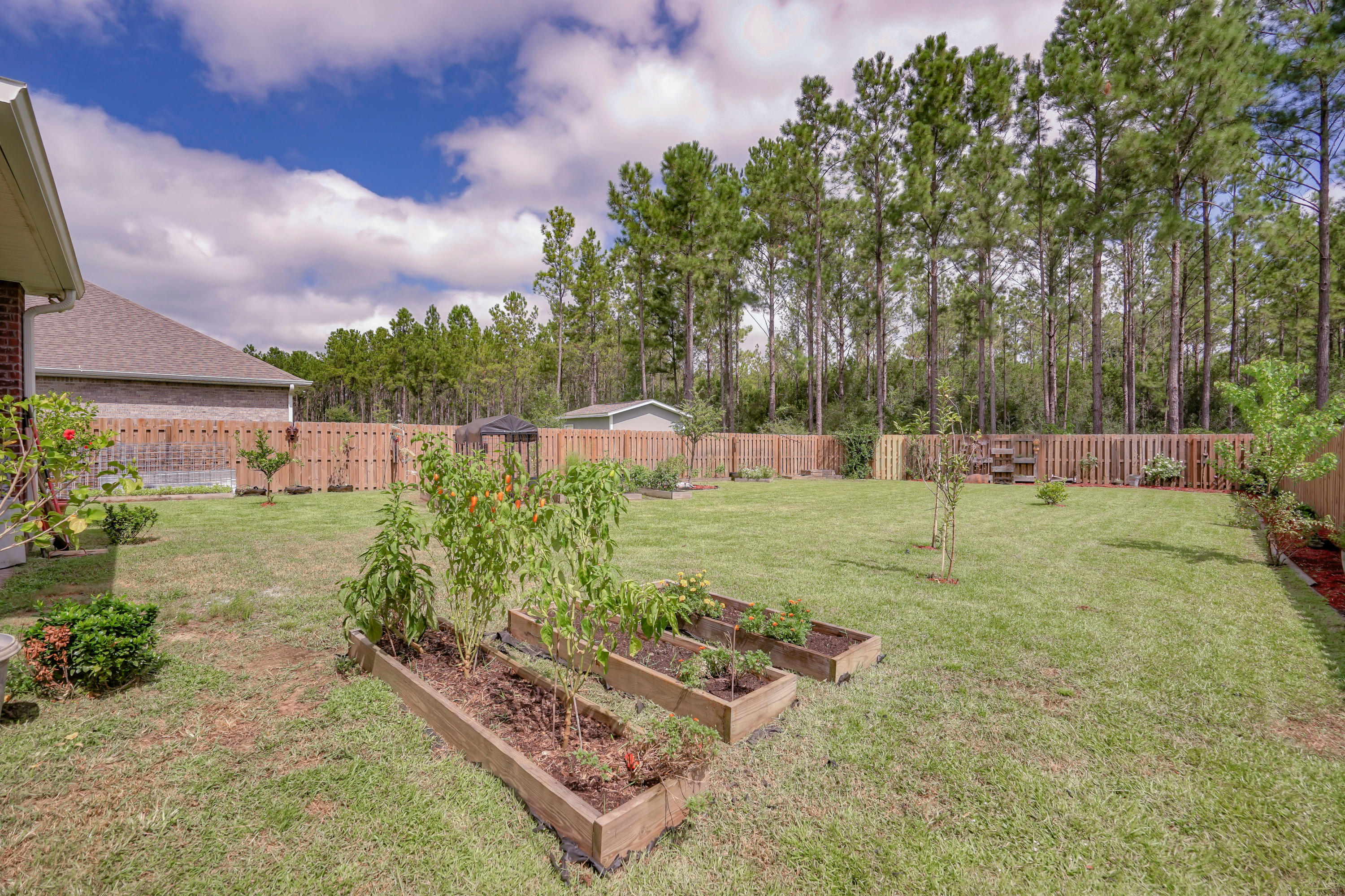 HAMMOCK BAY - Residential