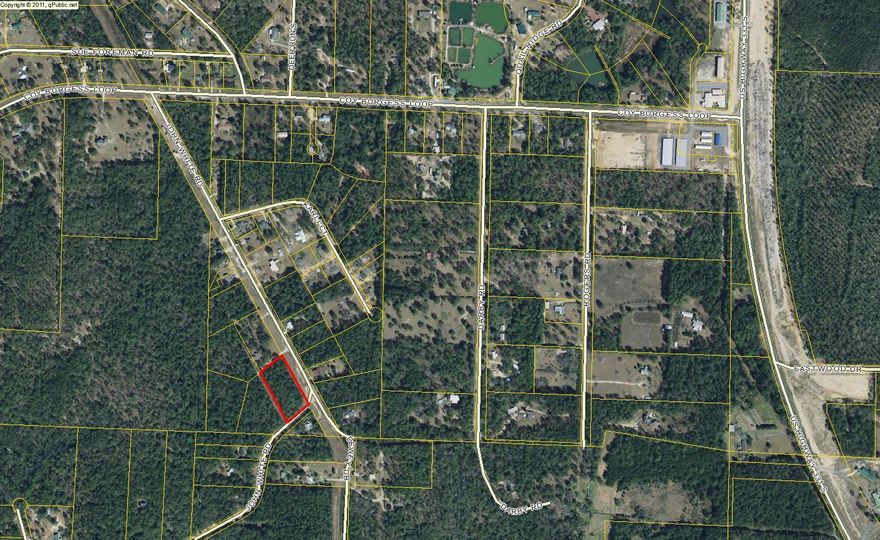 2.22 acre wooded lot ideal to build the perfect home. Located just over a mile from US Highway 331 and less than 3 miles to Interstate 10. Motivated seller. All information is deemed accurate but should be verified by the buyer. Listing agent is related to the seller.
