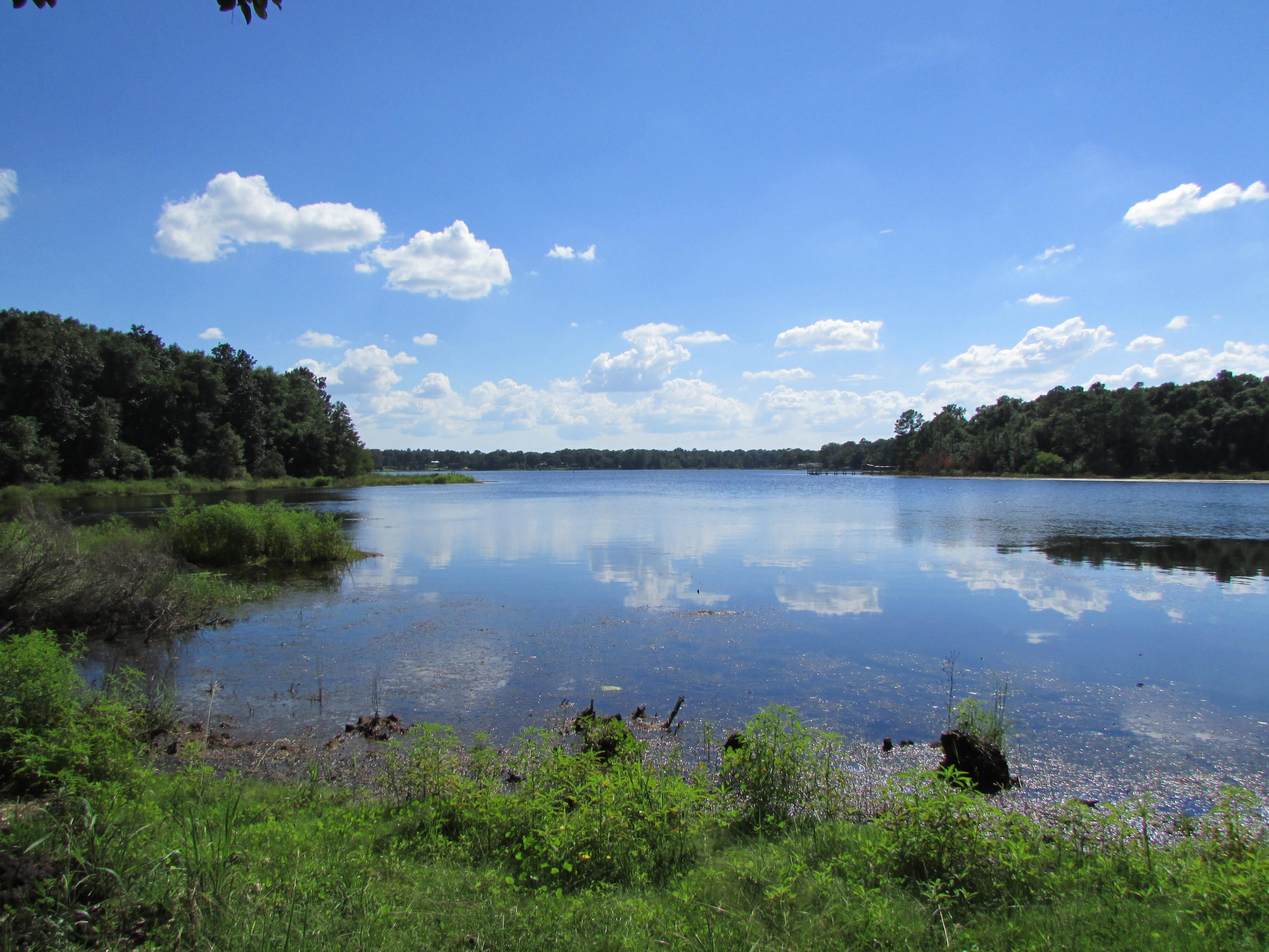 Pristine waterfront Lot For Sale in Lake Holley Estates with approximately 110 feet of breathtaking views of Lake Holley! Magnolias, Pines, and Oaks situated throughout this almost -3/4 Acre lot! Bring your builder and house plans to make your dream a reality. Lake Holley Estates has Restrictions & Covenants in place to protect your investment! Conveniently located minutes from Downtown Defuniak Springs, Defuniak Airport, Defuniak Country Club, Amphitheater, Community Center, Skate Park, Recreation Complex with 3 Softball Fields, Olympic size soccer field, Skating & rollerblading area, nature trails for walking, running, bicycle riding, horseback riding, and so much more! What are you waiting for? Call us to view this property today!