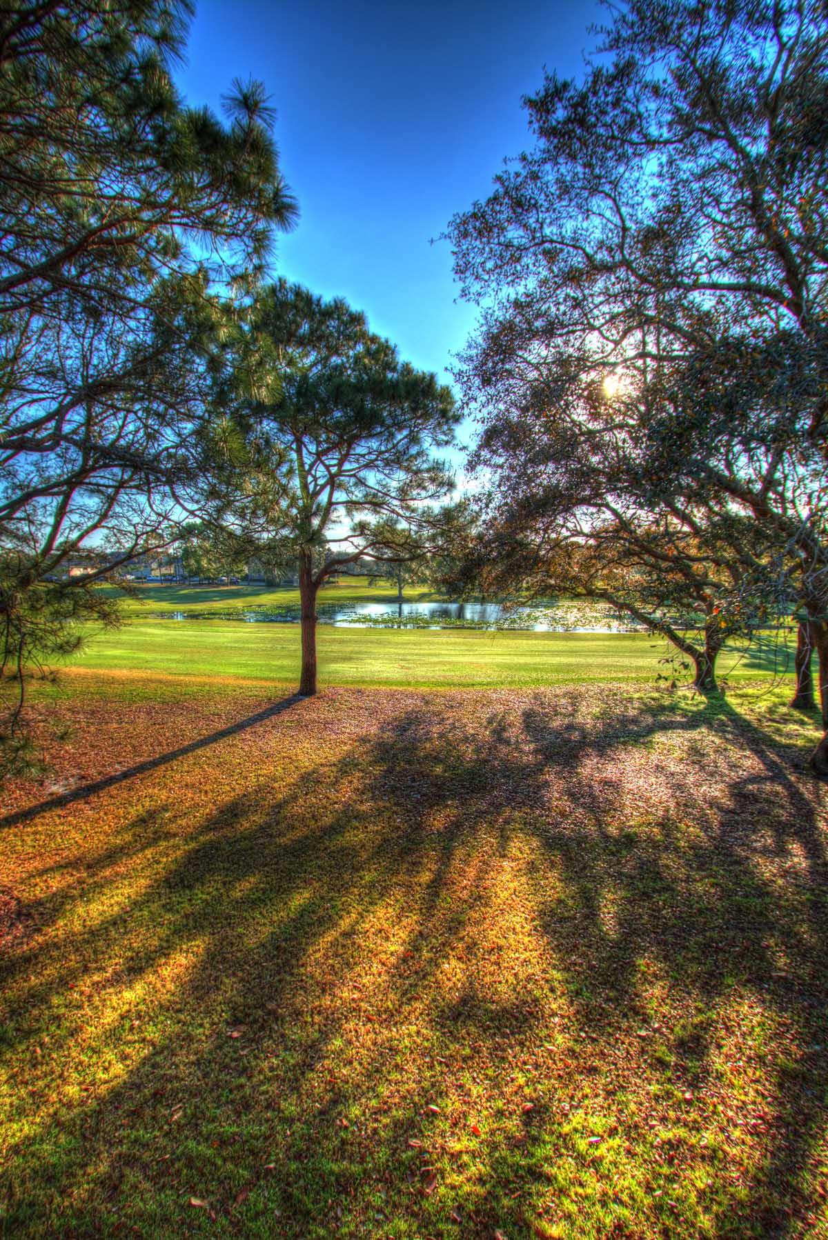 SEASCAPE CONDO FAIRWAYS AT - Residential