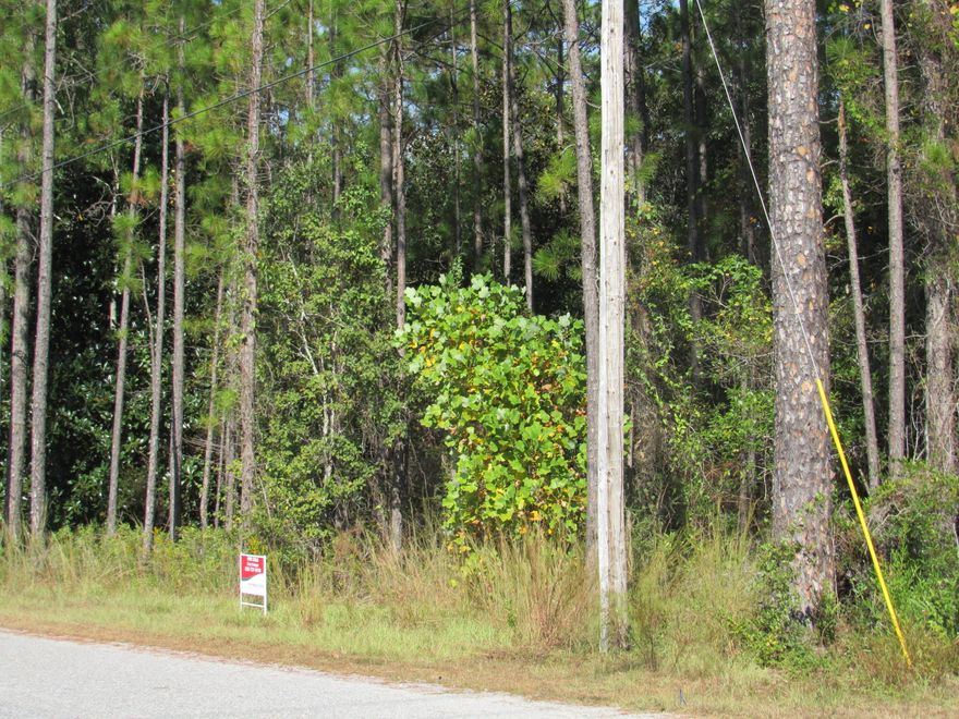 Beautiful property with lots of potential between Freeport and Santa Rosa Beach. Less than 3 miles from the bay and only a quick drive to the Beach. Be in the middle of this highly desired area. Buyer to verify all information.