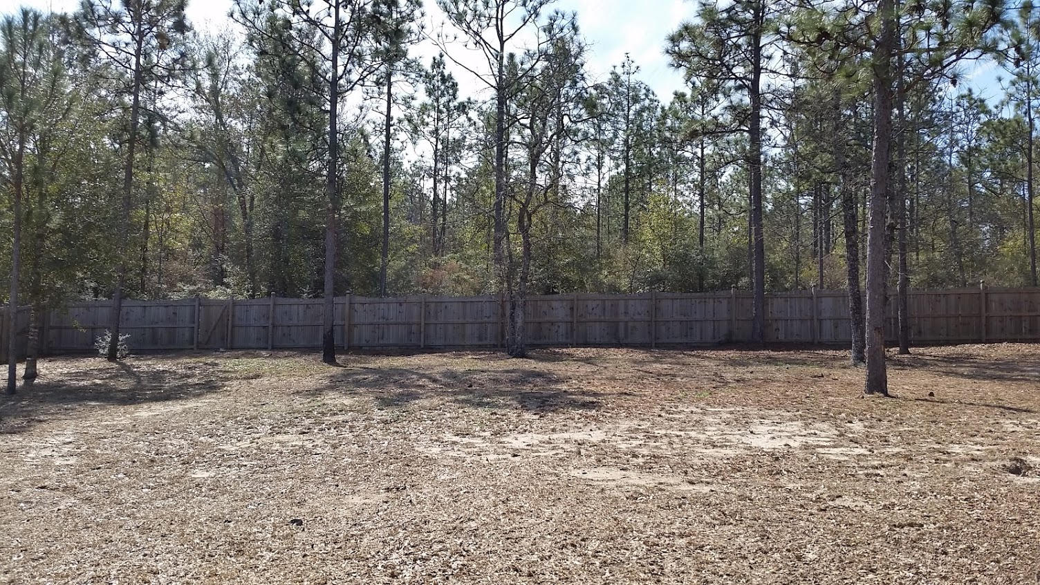 SILVER SPRINGS EST - Residential