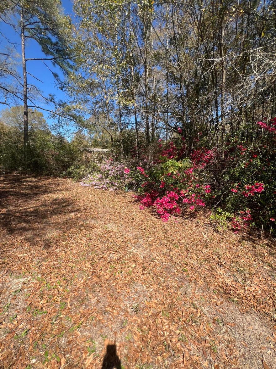 New SURVEY, 3.9 acres of land that you have plenty of room to create something truly special. The property's location off Hwy 90 with quick access to I-10 is an added bonus for convenience, and having utilities like water, electricity, and gas already accessible makes the building process a lot smoother. The existing house does not hold value, but the foundation could definitely serve as a strong base for a large barn or workshop, offering lots of flexibility in terms of what you can build. Come see this land today!