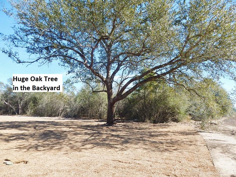 CHANAN ESTATES - Residential