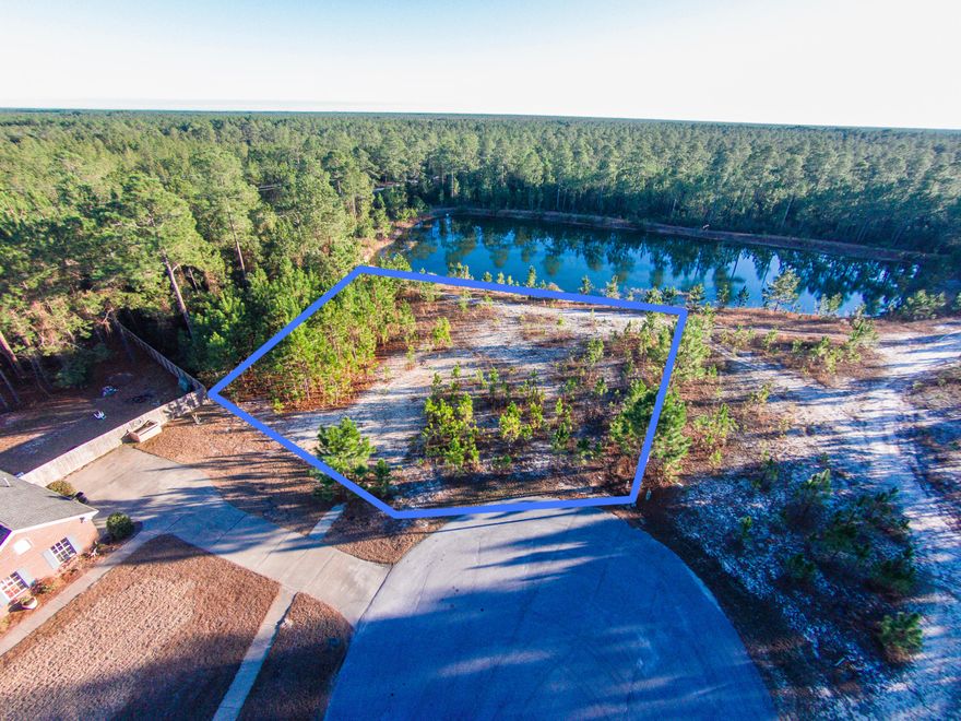 LOWEST PRICED WATERFRONT HOMESITE ON THE MARKET....Imagine a 750-acre master-planned community nestled in the quiet surroundings of Freeport, Florida. Welcome to Windswept Estates! The natural topography of the sweeping sand dunes provides a sense of privacy between the 401 homesites and the well-maintained golf course. With nearly three quarters of an acre you can build your dream home on this pond front lot on a private cul-de-sac off the beaten path. Other amenities include: Windswept Dunes 18 hole Golf course, a large swimming pool & clubhouse, 2 tennis and basketball courts, and a safe playground facility. ALL REASONABLE OFFERS WILL BE CONSIDERED!!