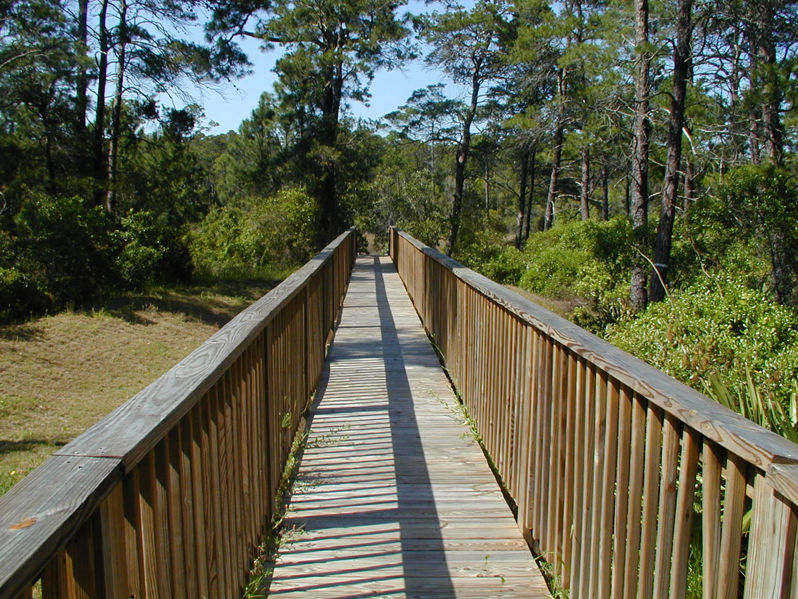 THE PRESERVE AT INLET BEACH - Land