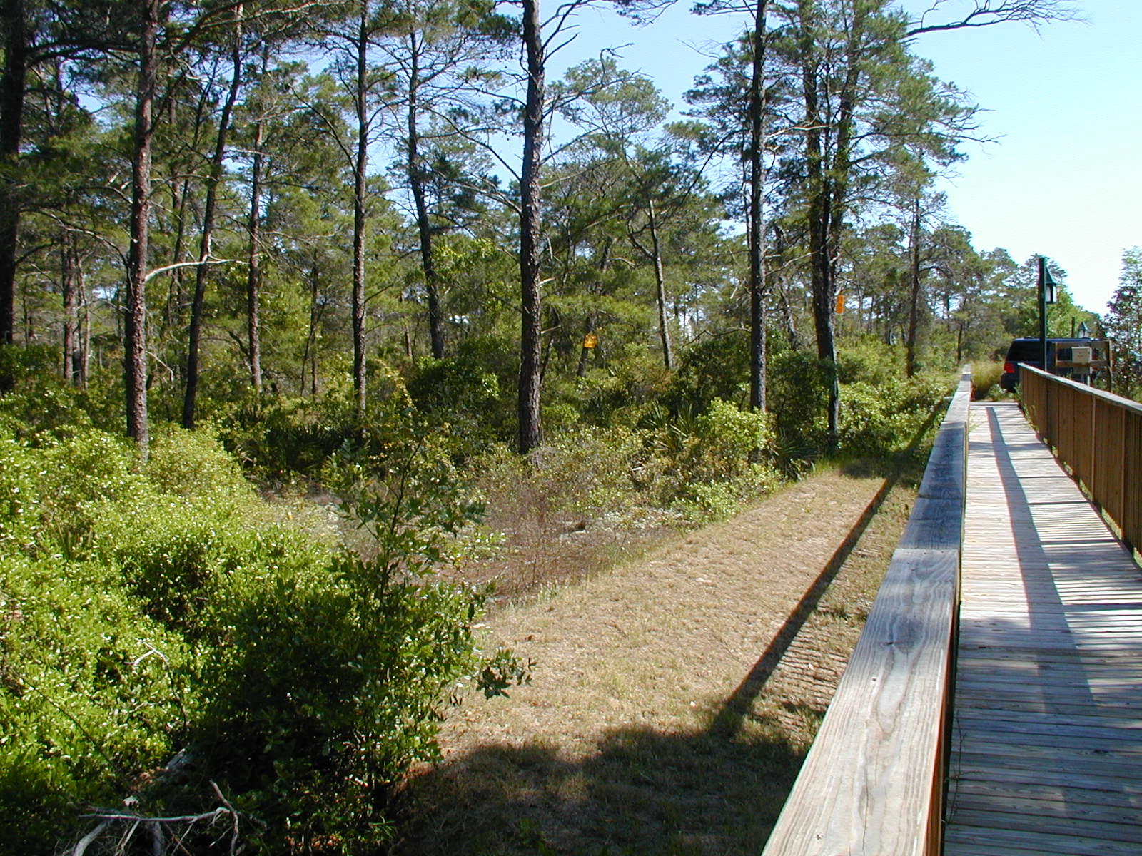 THE PRESERVE AT INLET BEACH - Land