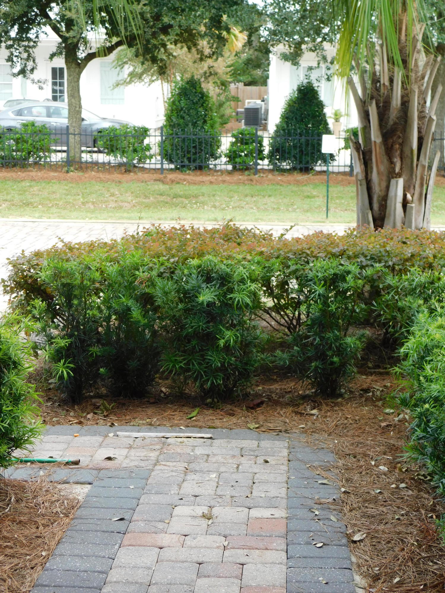 DRIFTWOOD DRIVE TOWNHOMES - Residential