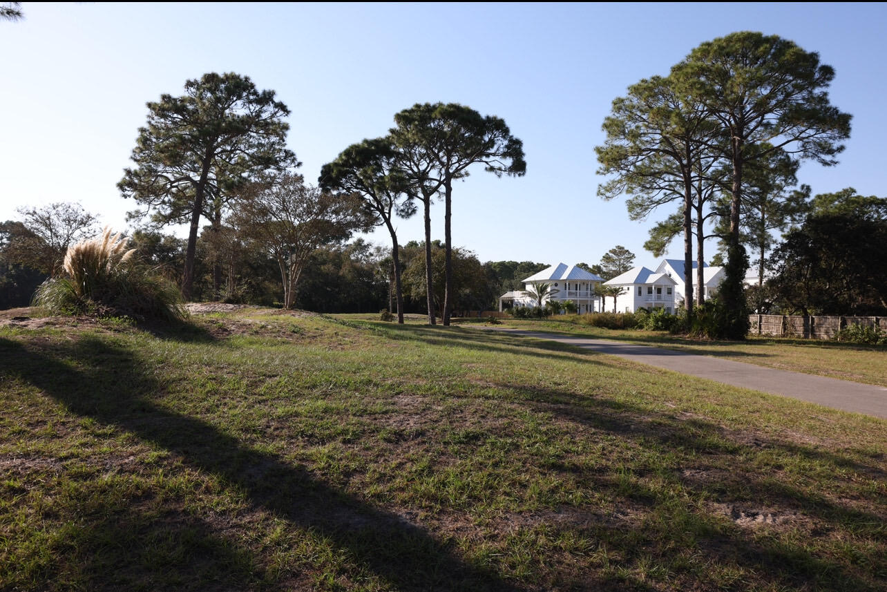 OLDE FLORIDA LAKES - Residential