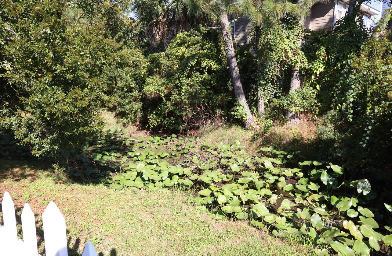 OLDE FLORIDA LAKES - Residential