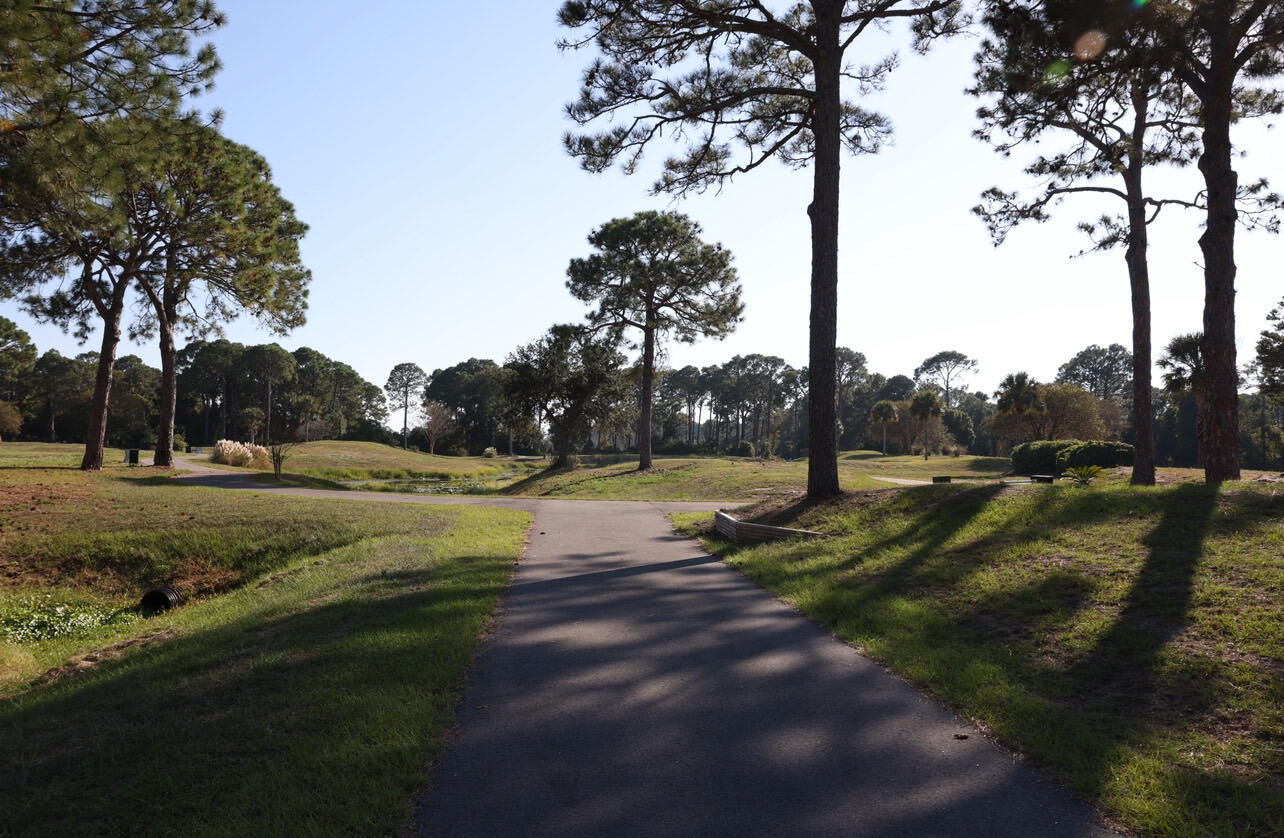 OLDE FLORIDA LAKES - Residential