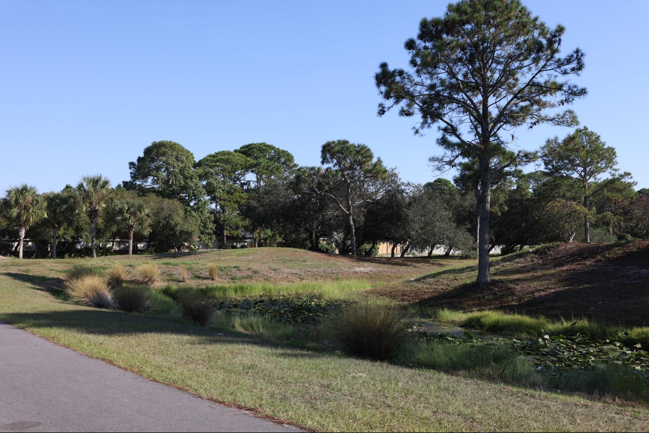 OLDE FLORIDA LAKES - Residential