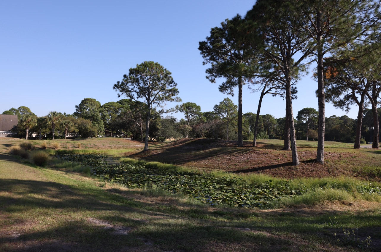 OLDE FLORIDA LAKES - Residential