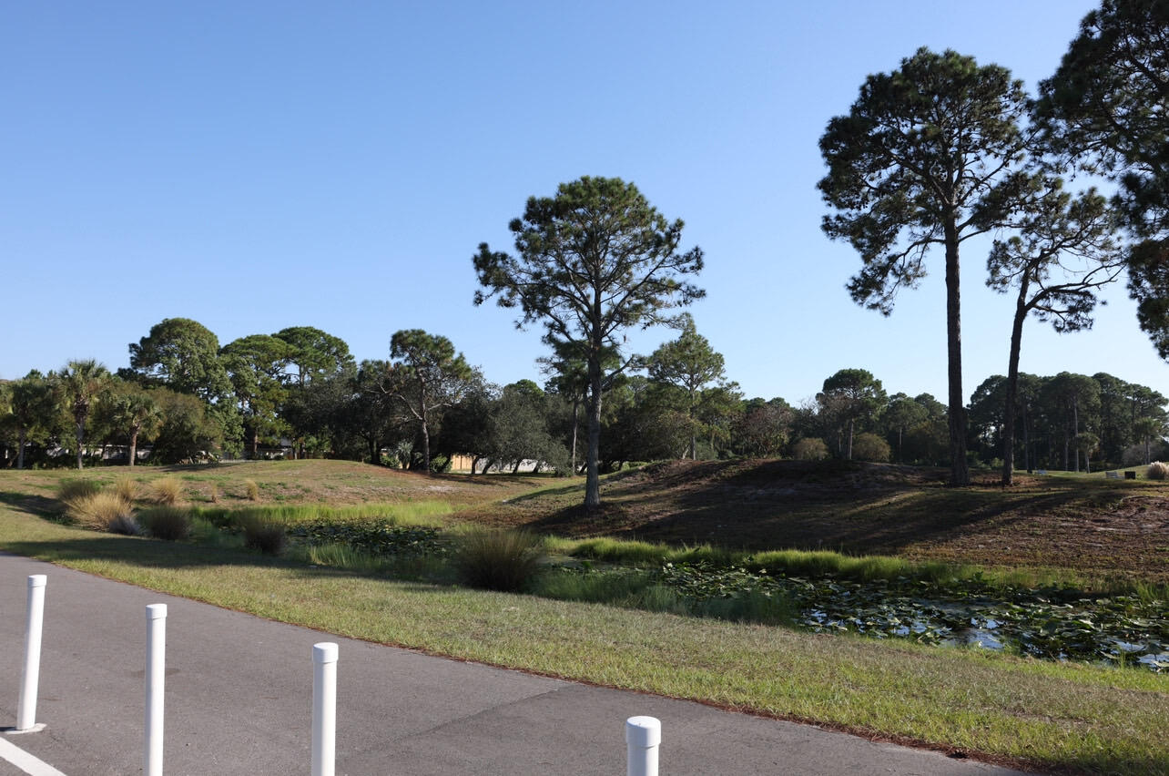 OLDE FLORIDA LAKES - Residential