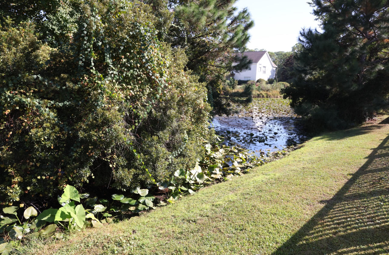 OLDE FLORIDA LAKES - Residential