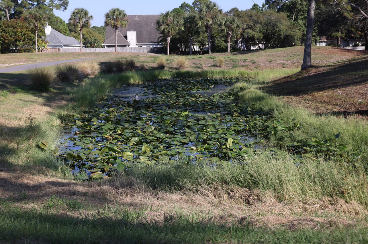 OLDE FLORIDA LAKES - Residential