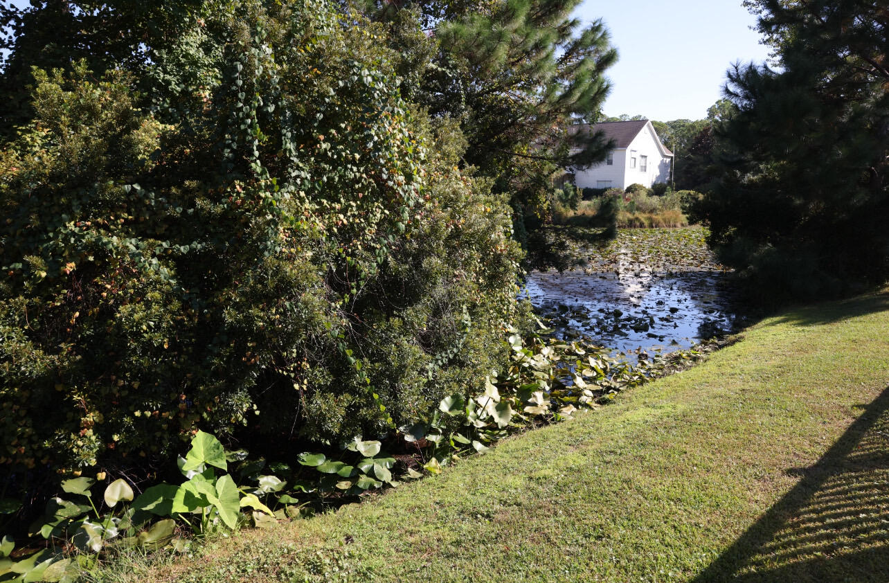 OLDE FLORIDA LAKES - Residential