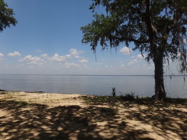 Check out this vacant lot on Choctawhatchee Bay, 130-feet of waterfront! Seawall in place, beautiful trees, no HOA, no build-out times, build only to county restrictions. Close to South Walton High School and convenient to beach, shopping and restaurants. Ask about possible Seller Financing.