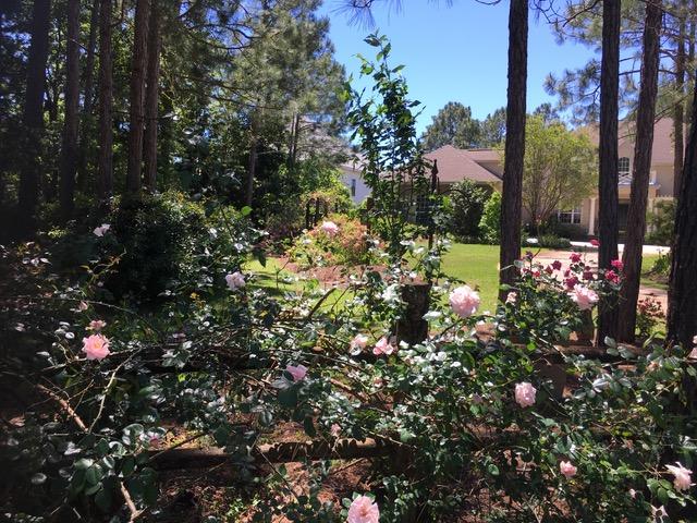RAINTREE ESTATES - Residential