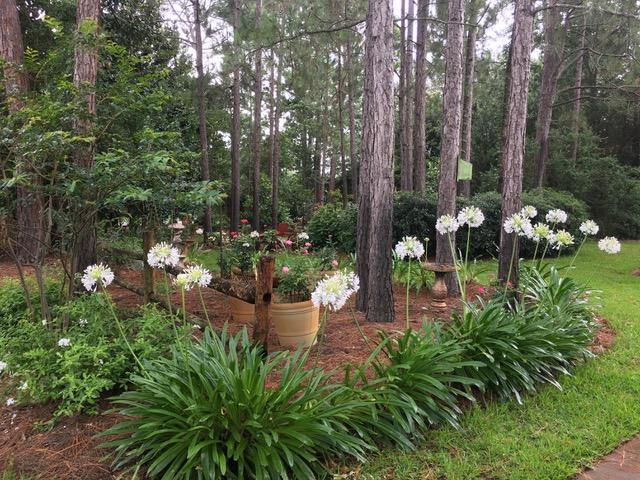 RAINTREE ESTATES - Residential