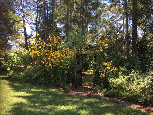 RAINTREE ESTATES - Residential