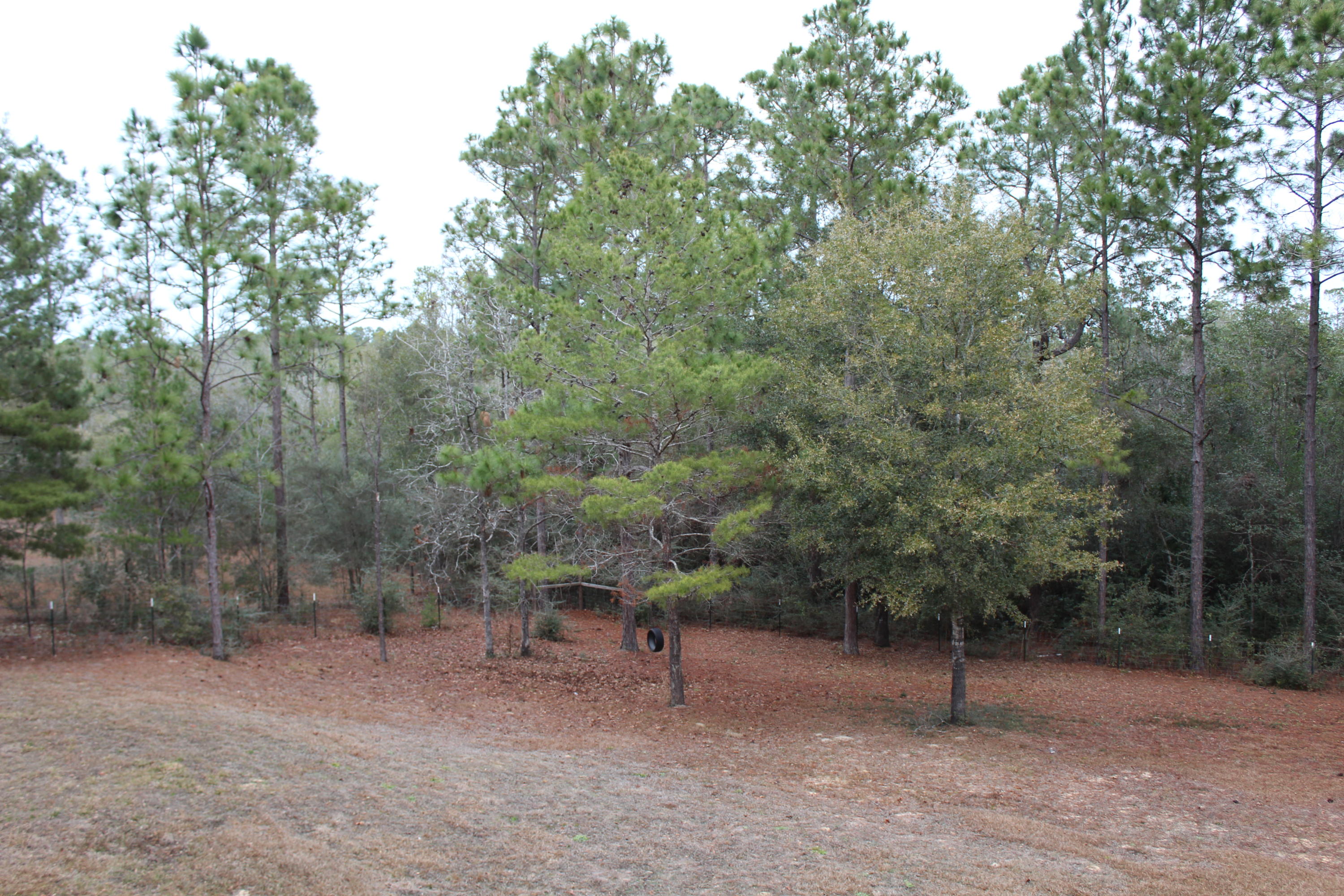 LAKE JUNIPER ESTATES UNIT 3 - Residential