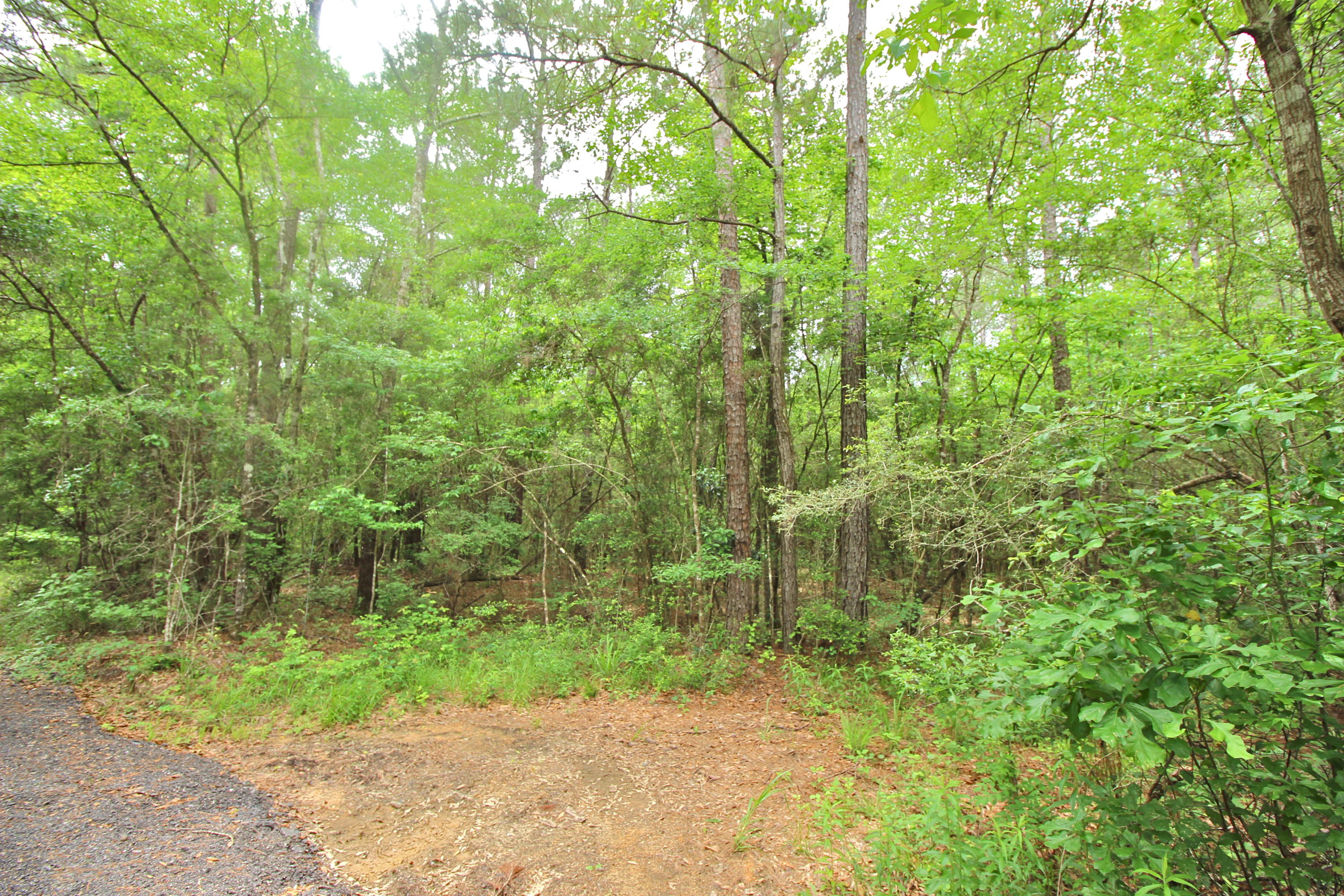 Price reduced! Beautiful rolling 20 acres in popular Eucheeanna Valley. Beautifully wooded with mature trees of all kinds, along with some old trails that you can easily walk.