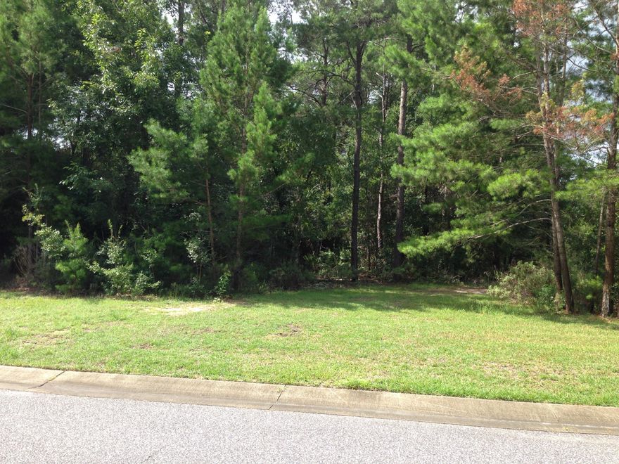 This custom home is available and is being built by a Parade of Home winner and Builder of the Year. Quality craftsmanship nestled in the well desired community of Swift Creek. Builder offers a 10 year extended bonded builders structural warranty, and a 1 year builder warranty. This floor plan is a new plan to this community, with 3239 sf of living space, 678 sq. feet of garage and approx. 1133 sq. ft of porches, along with 4 bedrooms, 4 baths, and side entry three car garage. Exterior will have brick and stucco siding per plan. Quality starts with a 3 1/2'' thick, 3000 psi concrete slab and 150 mph wind-load pre-engineered roof trusses. Insulated windows and exterior doors, R-21 open cell foam attic insulation, R-13 open cell foam insulation in walls w/2x6 exterior walls