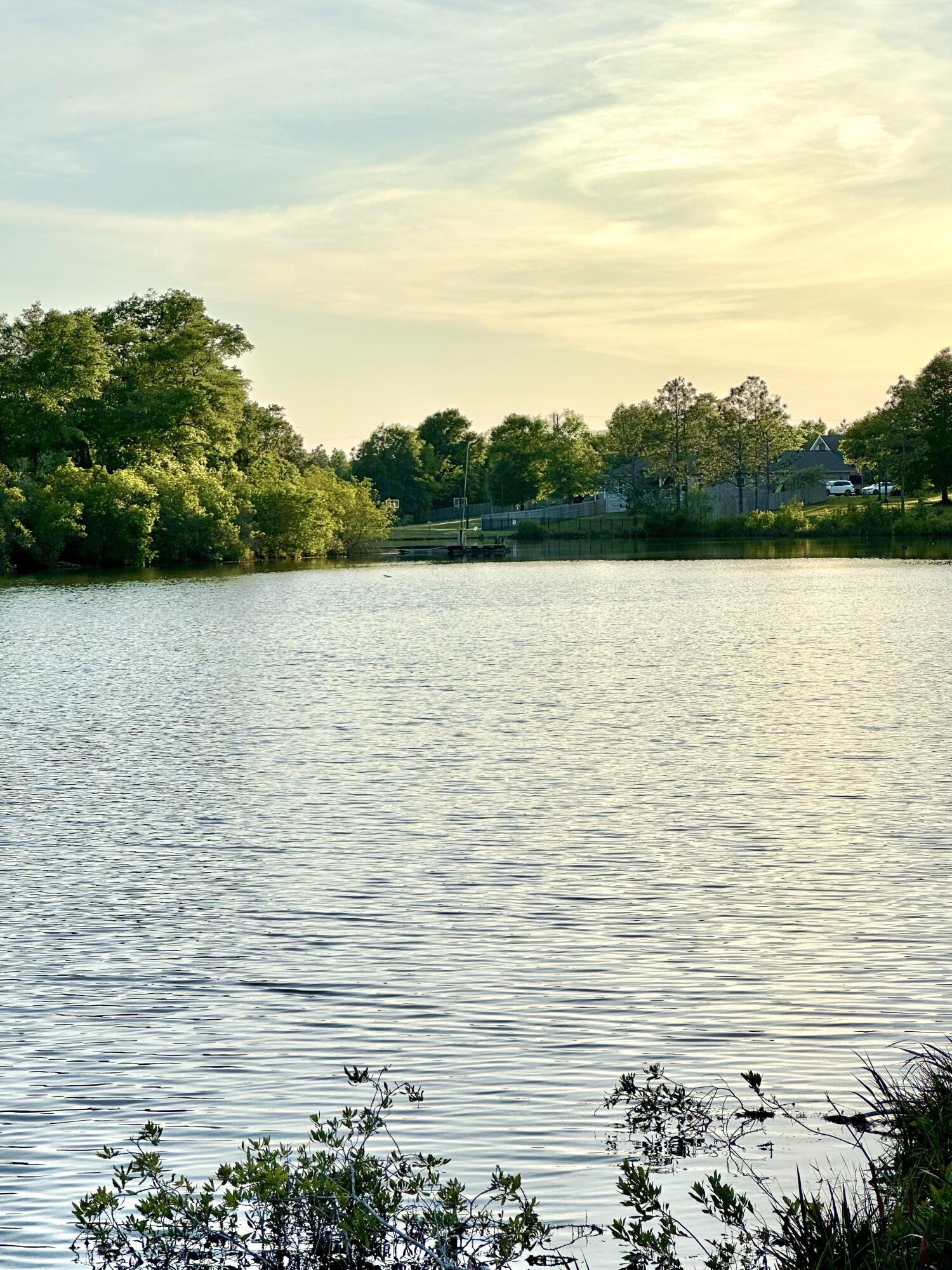 LAKE ARTHUR ESTATES - Residential