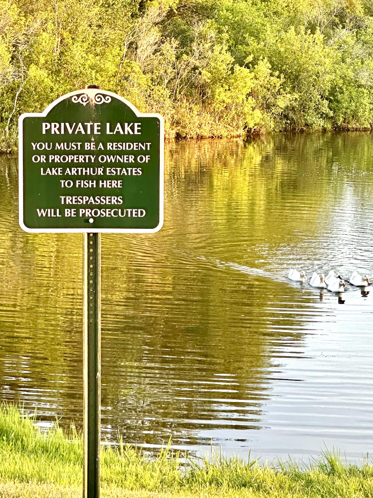 LAKE ARTHUR ESTATES - Residential