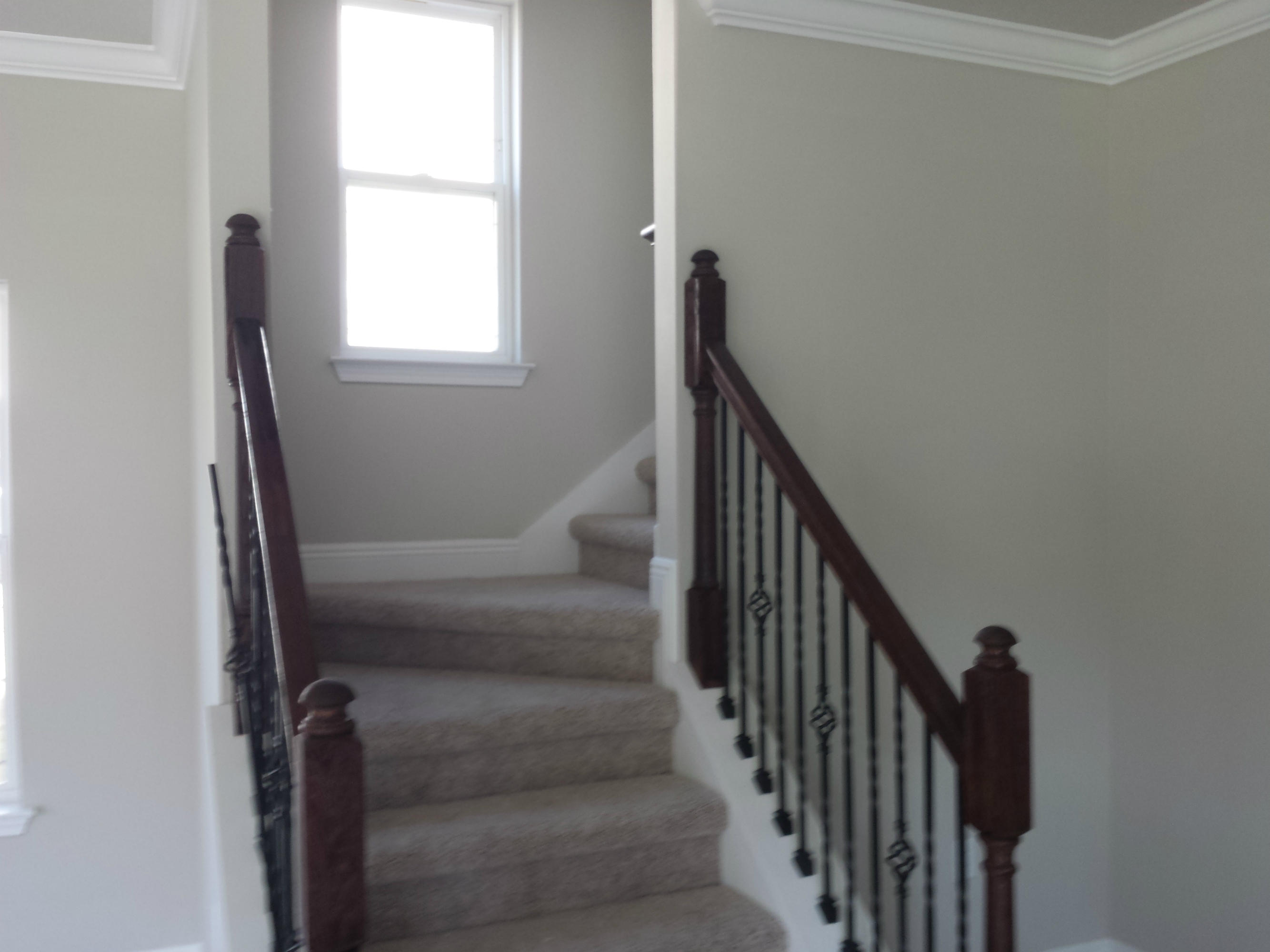 Topsail Walk - Residential