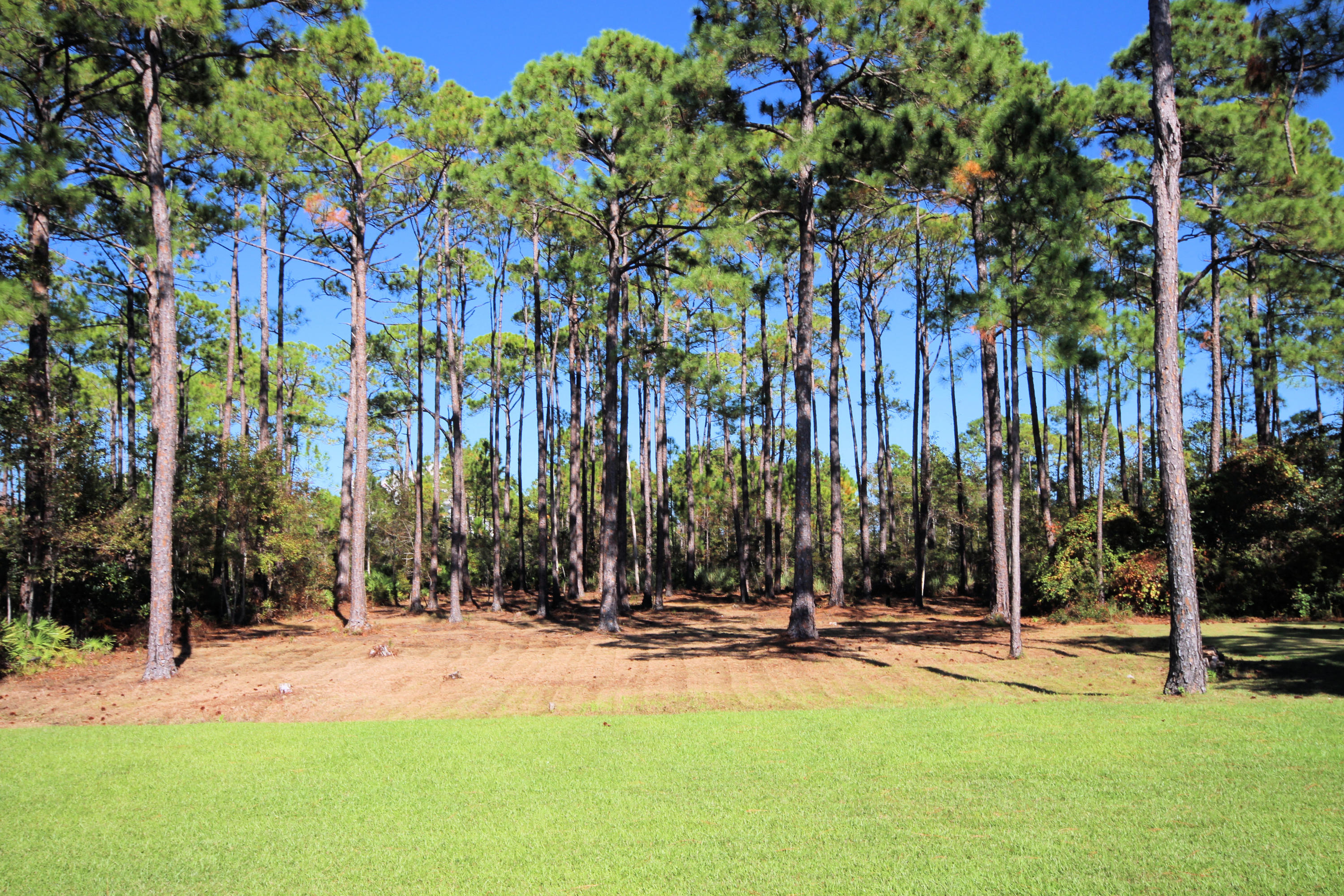 DRIFTWOOD ESTATES - Residential