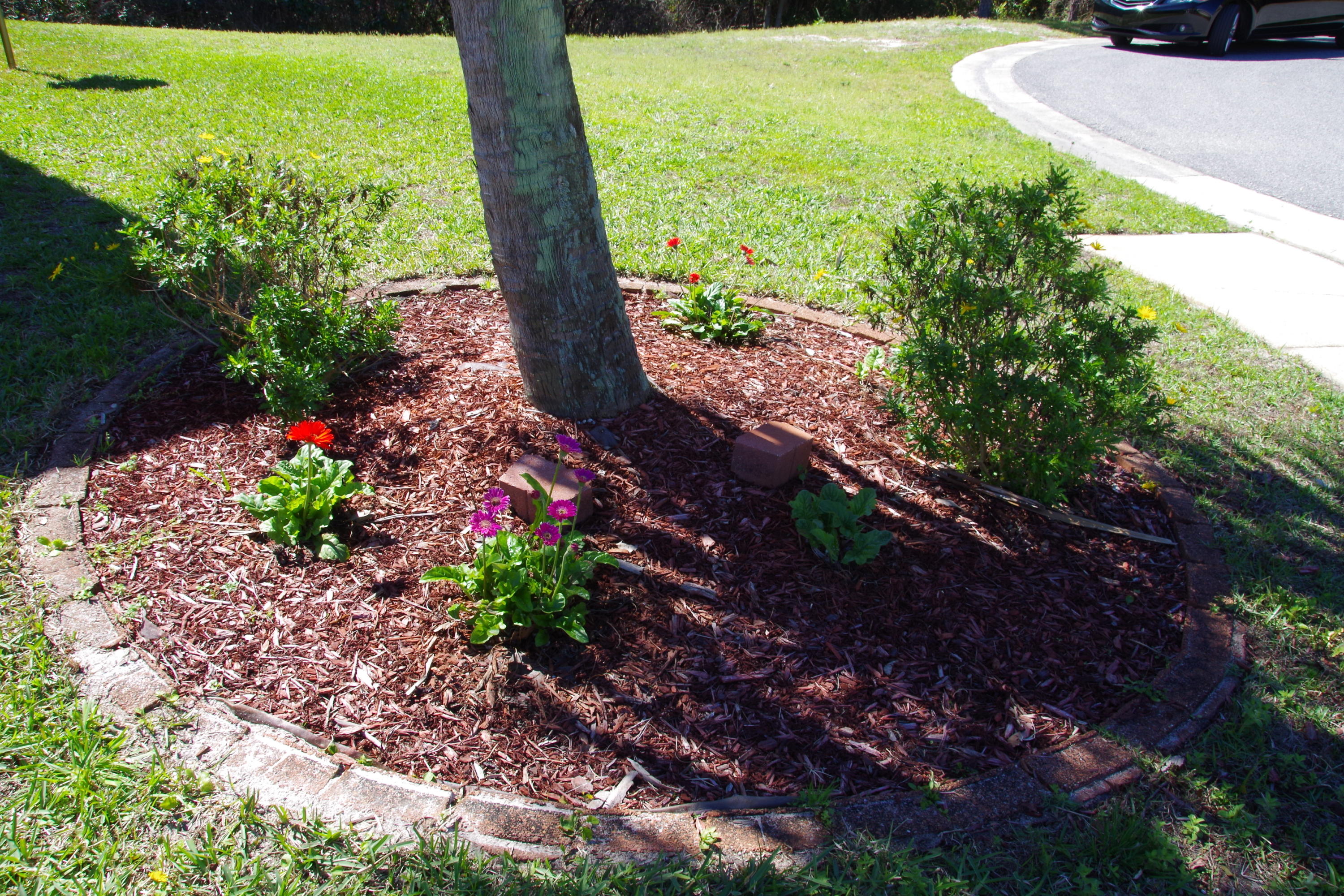 MARSH HARBOR - Residential