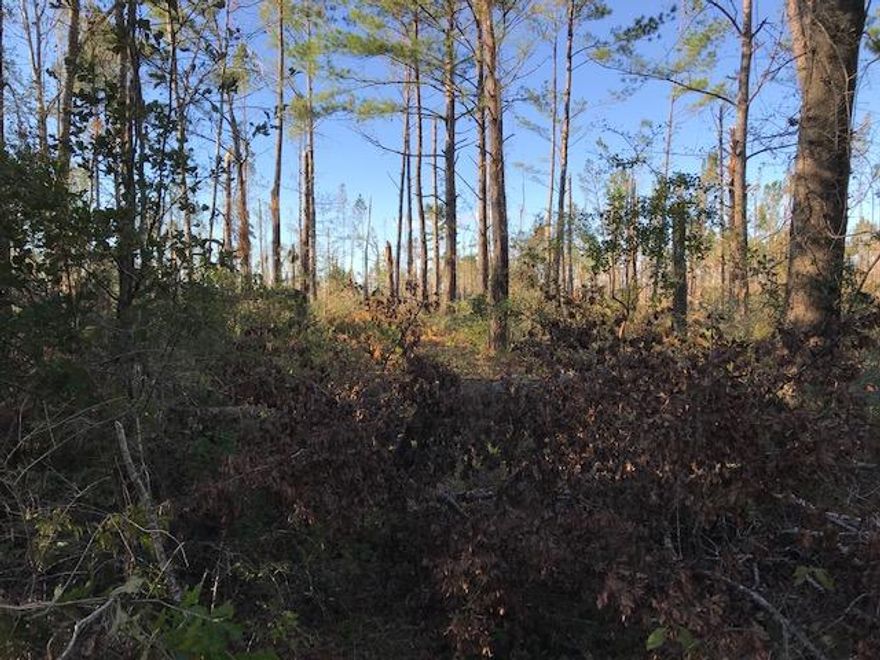Beautiful Vacant wooded acreage just southeast of Chipley.Schools: Kate Smith Elementary; Roulhac Middle; Chipley High.