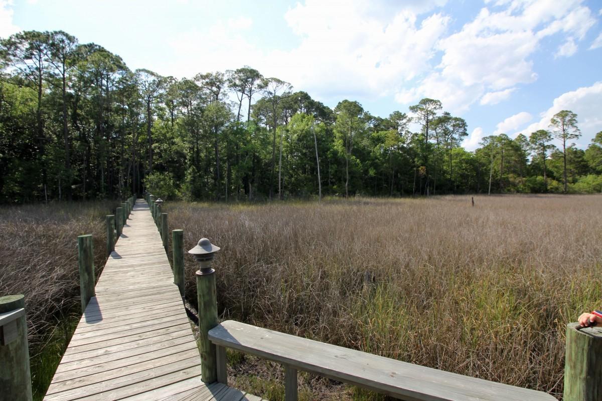 Woodland Bayou Estates - Residential