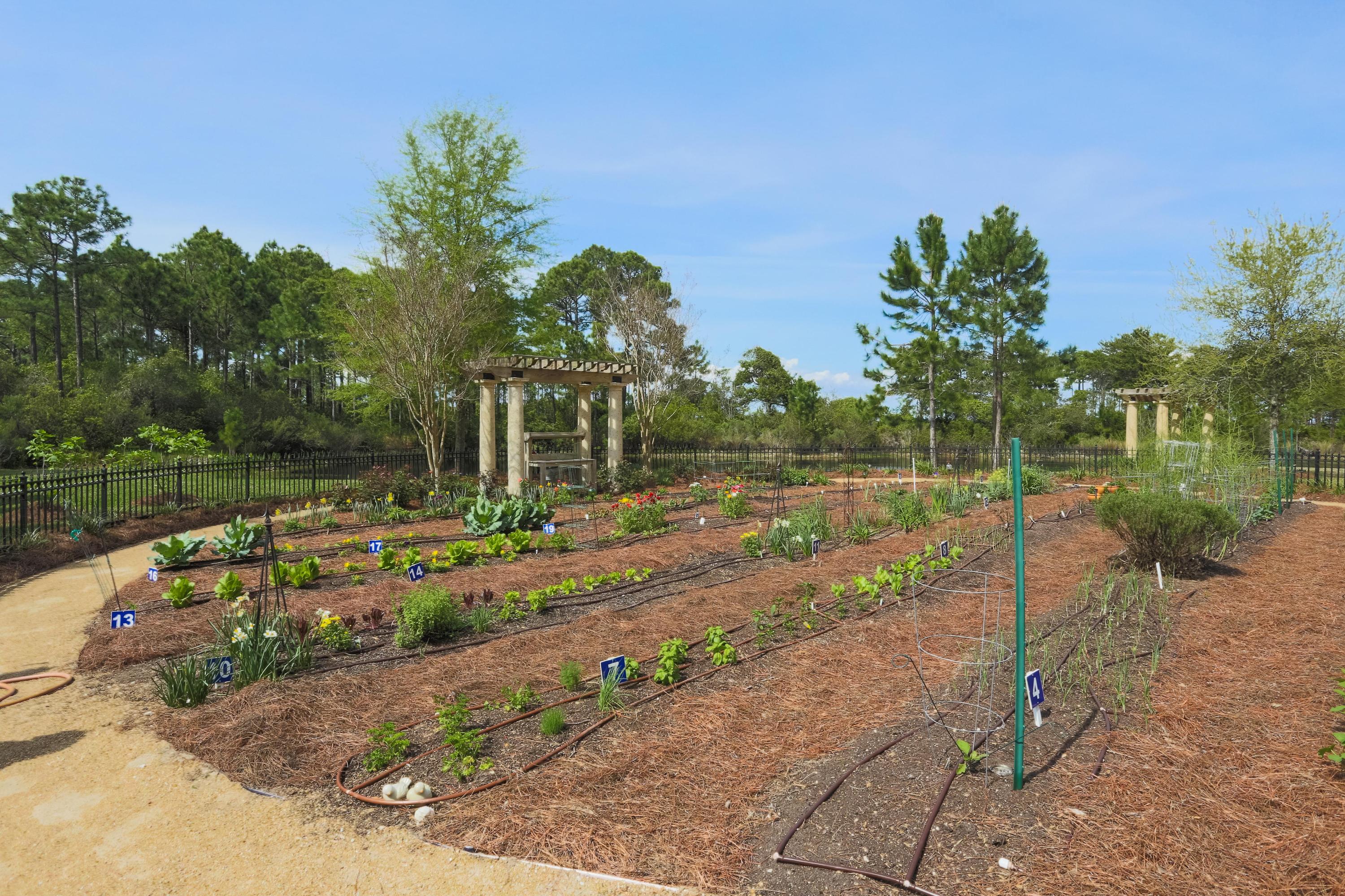 ONE WATER PLACE - Residential