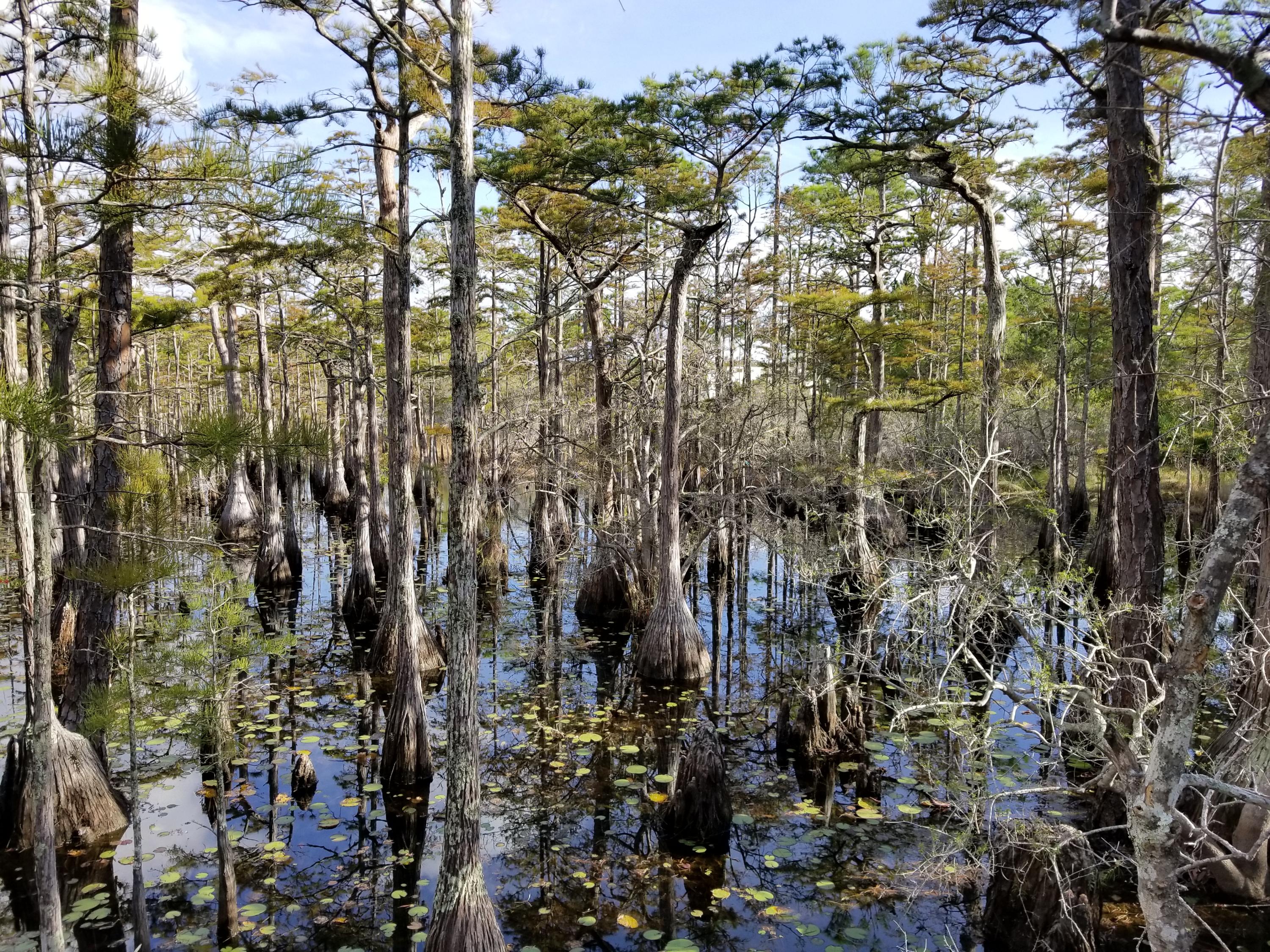 CYPRESS DUNES - Land