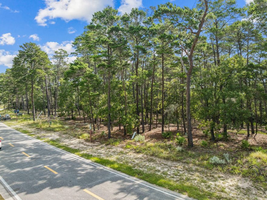 Gorgeous wooded lot located towards the end of a cul-de-sac in the gated neighborhood of Wild Heron, a true coastal sanctuary in the Florida panhandle. Situated in the back of the neighborhood for added privacy, you can enjoy an abundance of wildlife. Build your dream home on a little over a HALF ACRE. Wild Heron is an amazing community providing loads of amenities: community pool, playground, fitness center, dock and more; located on the largest Coastal Dune Lake Powell. 30A and Pier Park are about 10 minutes away so access to shopping, restaurants etc are very convenient. The Watersound Sharks Tooth Golf Course can be enjoyed upon joining the Watersound Club membership. *Professional photos forthcoming