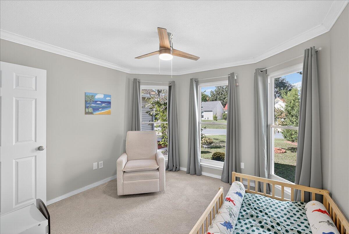 BLUE PINE VILLAGE AMENDED - Residential