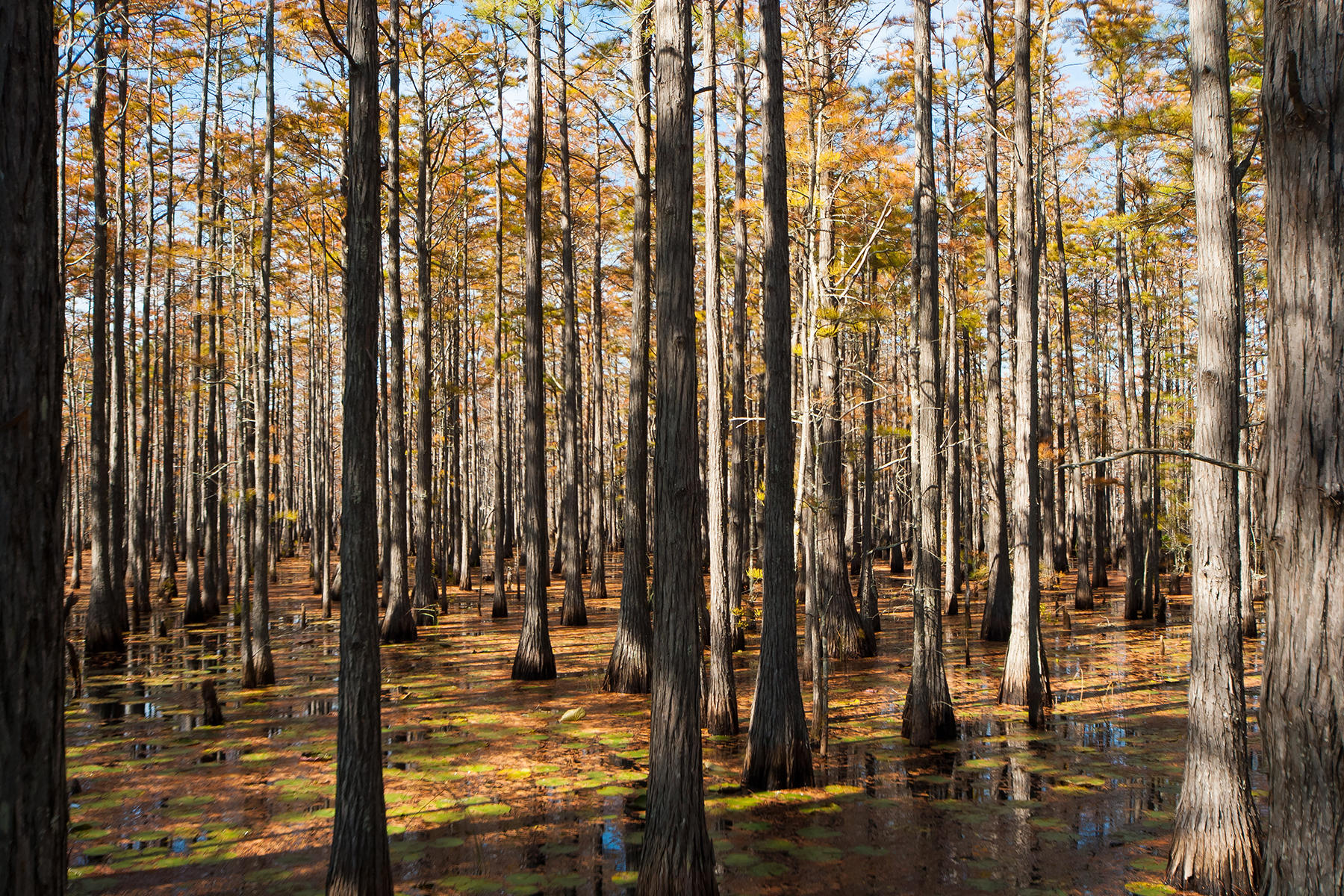 CYPRESS DUNES - Land